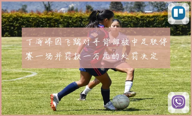 丁海峰因飞踹对手背部被中足联停赛一场并罚款一万元的处罚决定